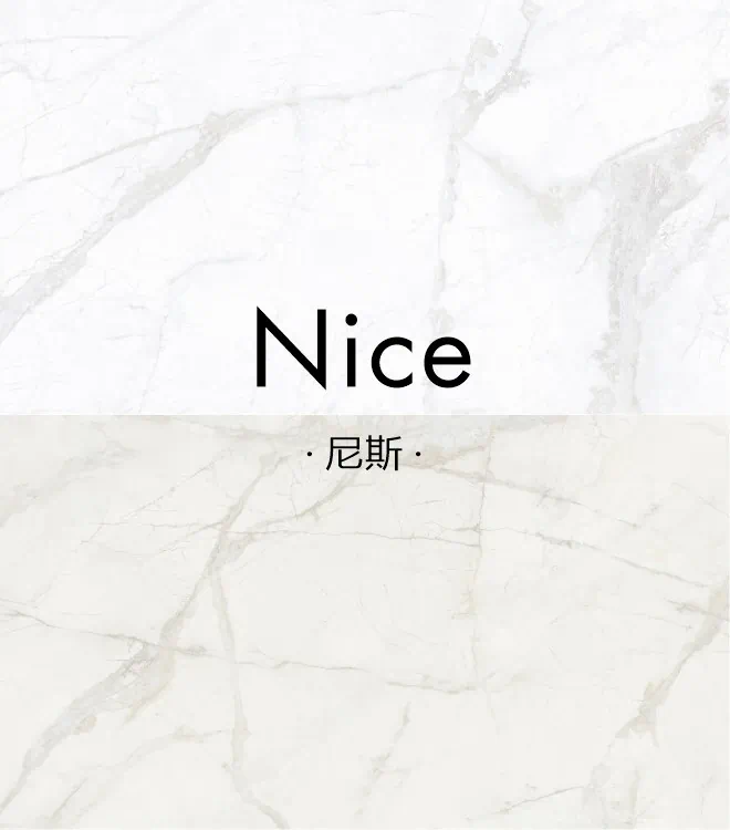 尼斯