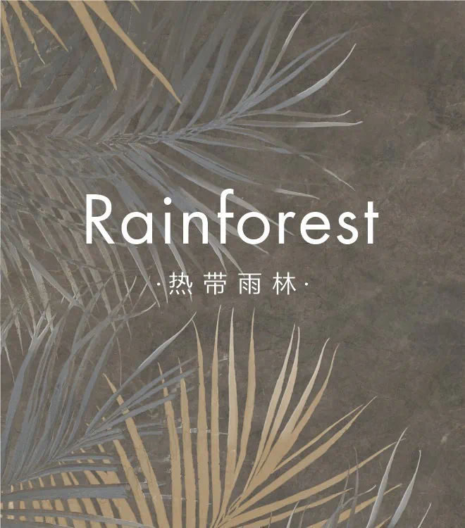 热带雨林