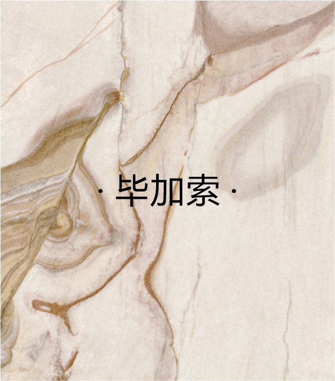 毕加索