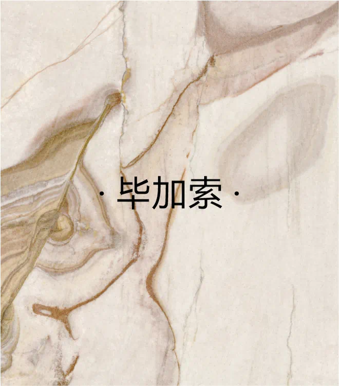 毕加索