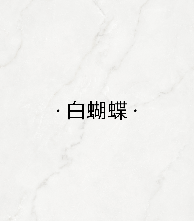 白蝴蝶