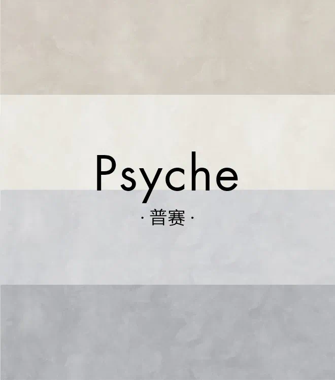 普赛(出口产品)