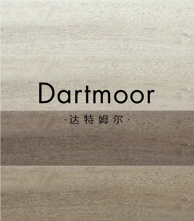 达特姆尔(600×1200)
