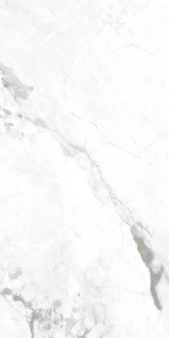 TA1890070ET雪山白-6